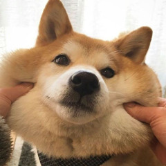 ✨💅let me be your woman //edit audio 💅