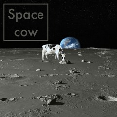 Spacecow