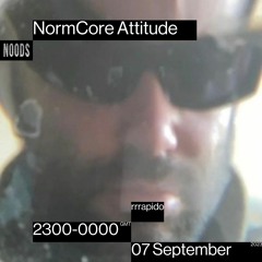 NormCore attitude 43 w/ rrrapido