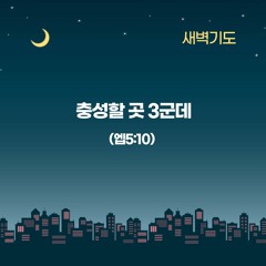 [새벽기도] 충성할 곳 3군데(엡5:10)