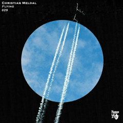 Flying (Original Mix)