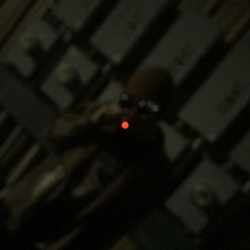 Bite first (bark later) (feat. Jesus III x Yellow Saturday) [Prod. Rheyr] (2018)