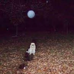 Ghostly tales from Virginia