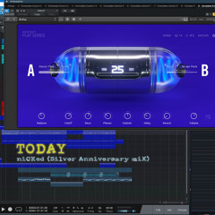 Today (niCKed Silver Anniversary miX)