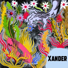 #9 - Xander