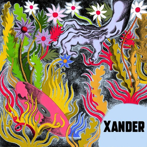 #9 - Xander