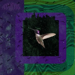 Lo-Flying Birds