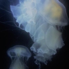 Lil Peep - Nesting (edit) (prod. HNRK & drip-133)