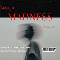 Mashup Madness (House Edition) Vol - 1