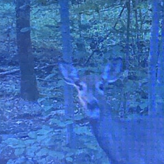 Hard to Figure 2 (Mix)