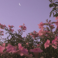 summer dreams of love