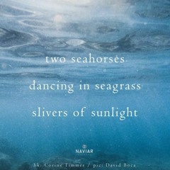Dancing in Seagrass - (naviarhaiku516)