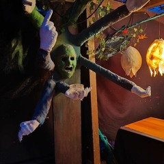 Zappeldrang - Sommeranfang 2024