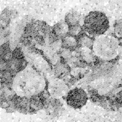 Whole (Slowed + Reverb)