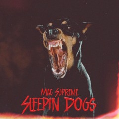 SLEEPIN DOGS