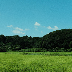 Log_20250725（demo）