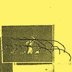 framea arc - not your window / in the lower room / mercy house / ghost light