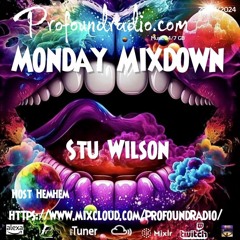 #89 Profound Radio  Progressive House @djstuwilson