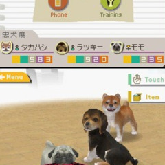 i dont care @Myself1111 @Yax03