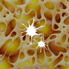 SNPS Premiere: øxyde - Clenched Jaws [SNPS006]