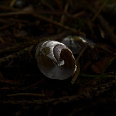 everyone leaves in the end