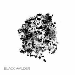 R4PC4MP & i like animals - Black Walder