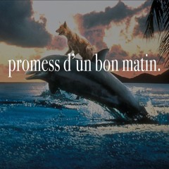 promess d'un bon matin 2