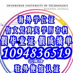 办理SUT文凭证书