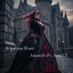 What you want: Adam4le Ft. Sandi J