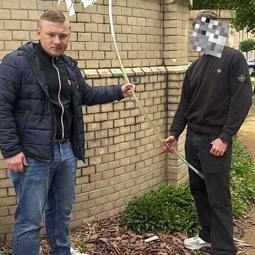 Kranich frisst