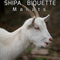SHIPA BIQUETTE - [ Manats ]