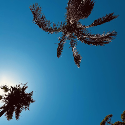 Sunstepper