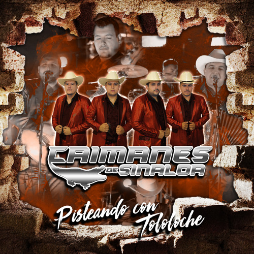 Stream El Señor de las Montañas by Los Caimanes De Sinaloa Listen online for free on SoundCloud Stream El Señor de las Montañas by Los Caimanes De Sinaloa Listen online for free on SoundCloud