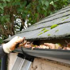 Expert Gutter Cleaning Service