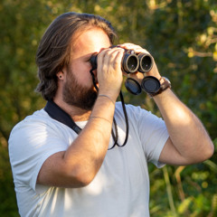 sight