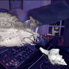 Lunar Mollusk Equilibrium