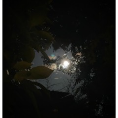 Tides Of Light - Mystic