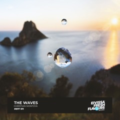 EFF011 - Christian Montoya   - THE WAVES  (Original Mix Preview)