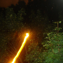 zünd den wald an