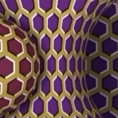 EndLEsS_LOvE _Var.  2.nd Rekord