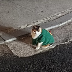 빨간 볼(Blushing)