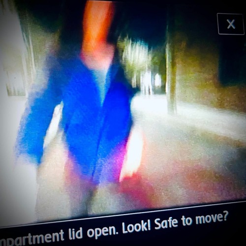 Look! Safe to move?