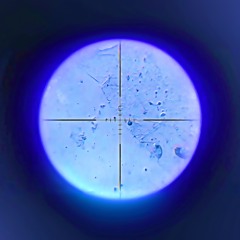 Target_ESCPE