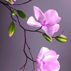 Musica Notturna 15 'Circle 1'