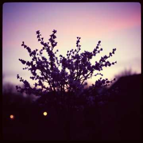 Another story of spring #3