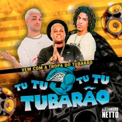 VEM COM A TROPA DO TUBARAO - MC RYAN SP e MC PANICO ( LEANDRO NETTO DJ - FDH REMIX )
