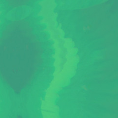 Bûche glacée sur son lit de petits marrons