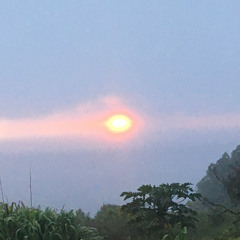 Let Your Light Shine