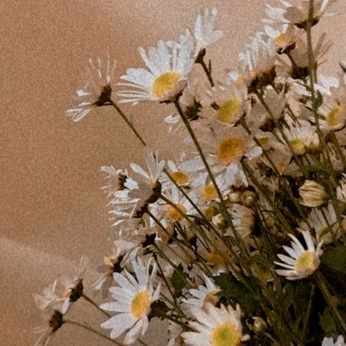 انتَ اللي بتسعد اوقاتي*.