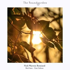 Nick Warren - Freebird (Emi Galvan Remix)